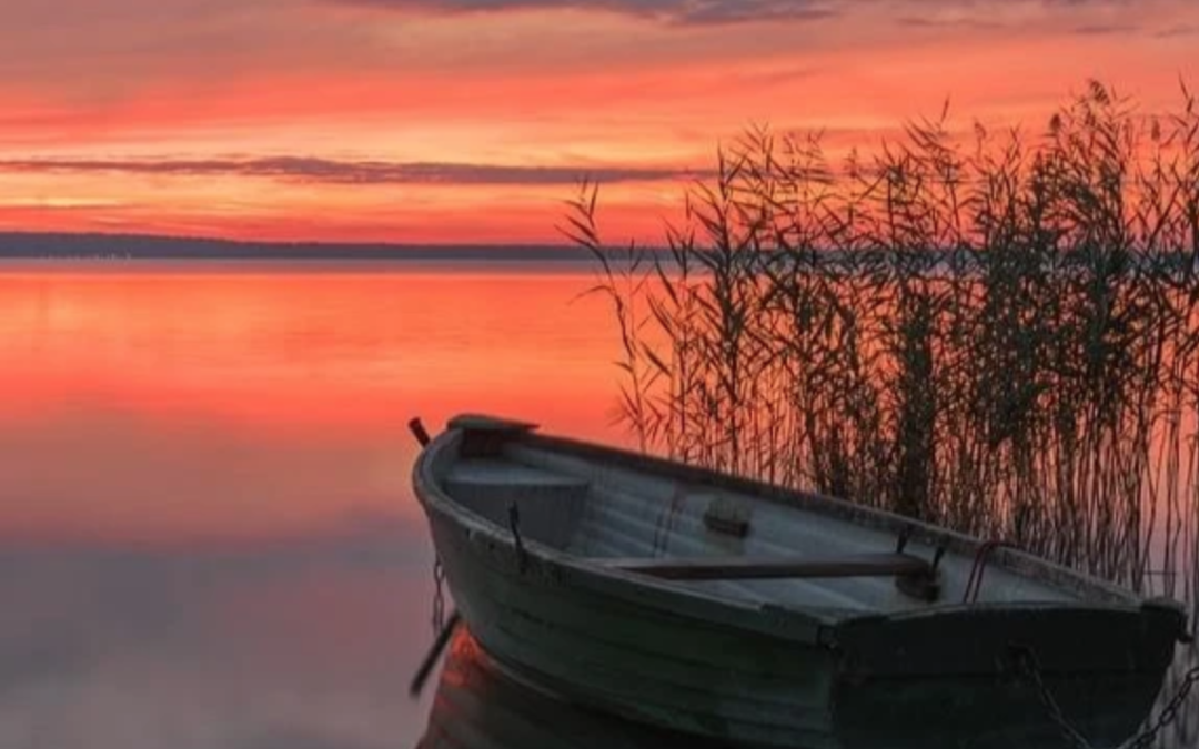 A l’aube du jour où la lumière l’emporte sur l’ombre