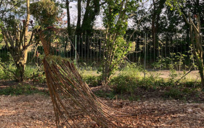 Fête de la Nature dans le jardin de la Tiny House de soin