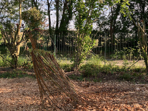 Fête de la Nature dans le jardin de la Tiny House de soin