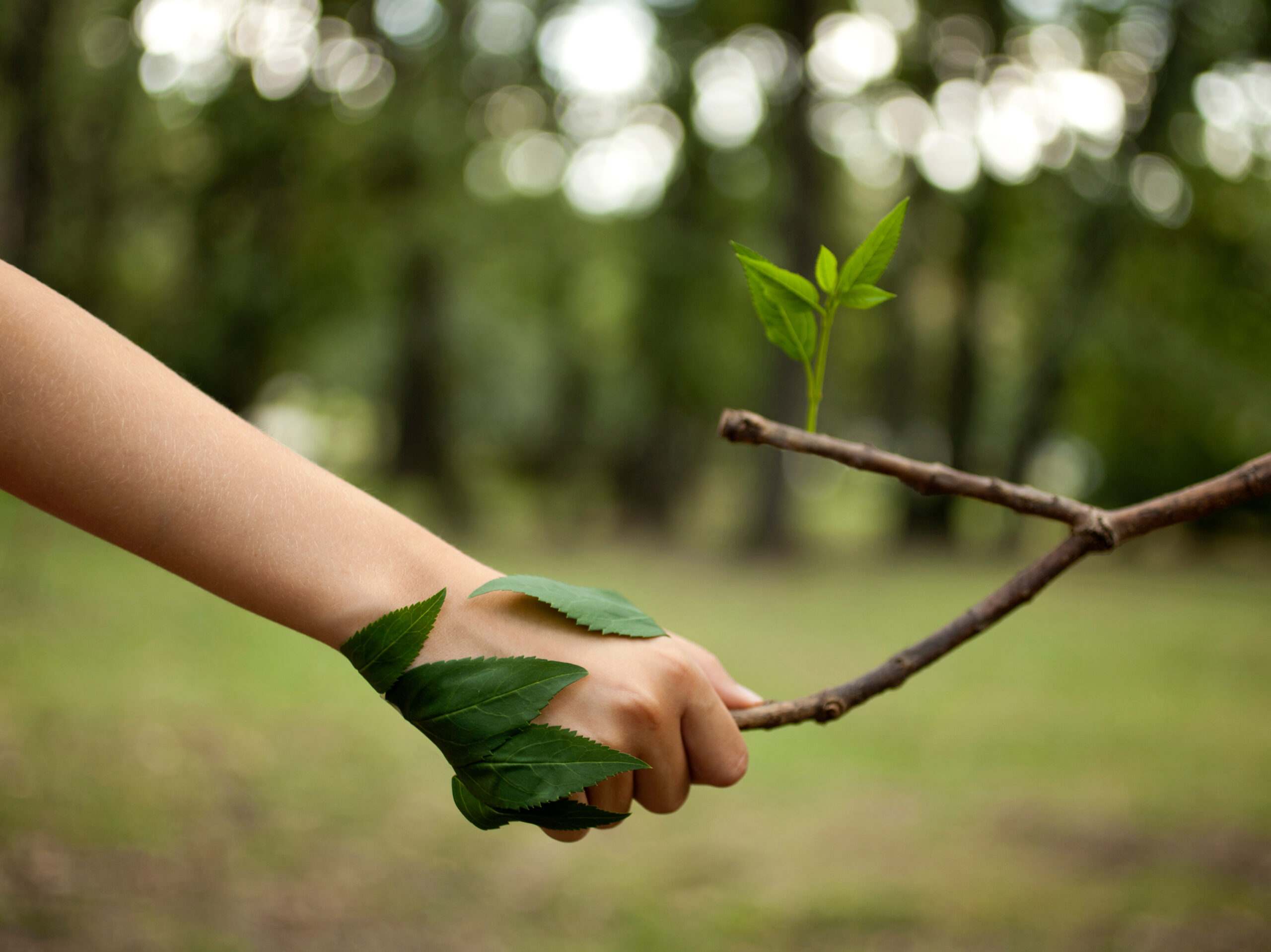 La nature pour allié