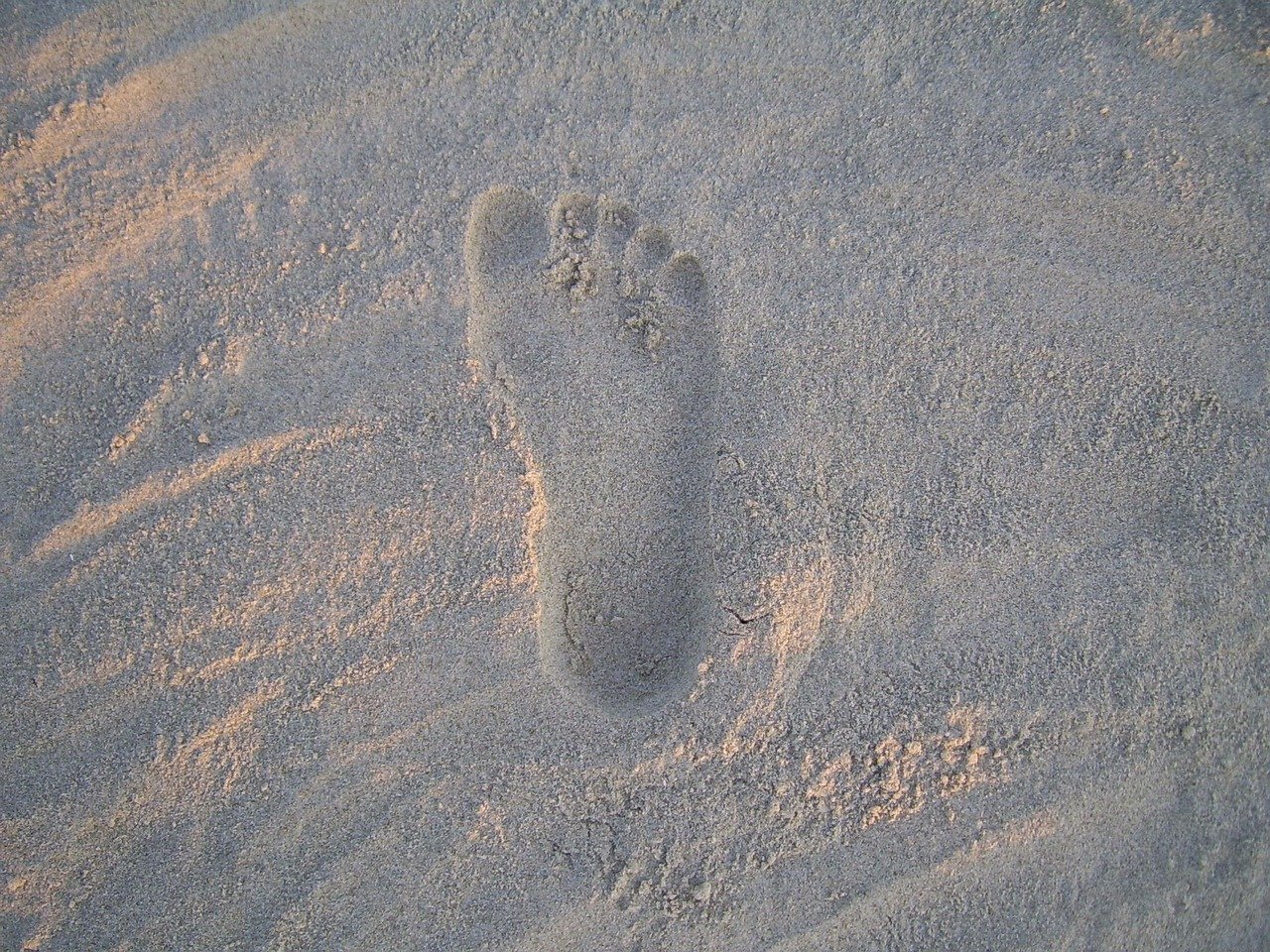footprint-19649_1280 (1) view