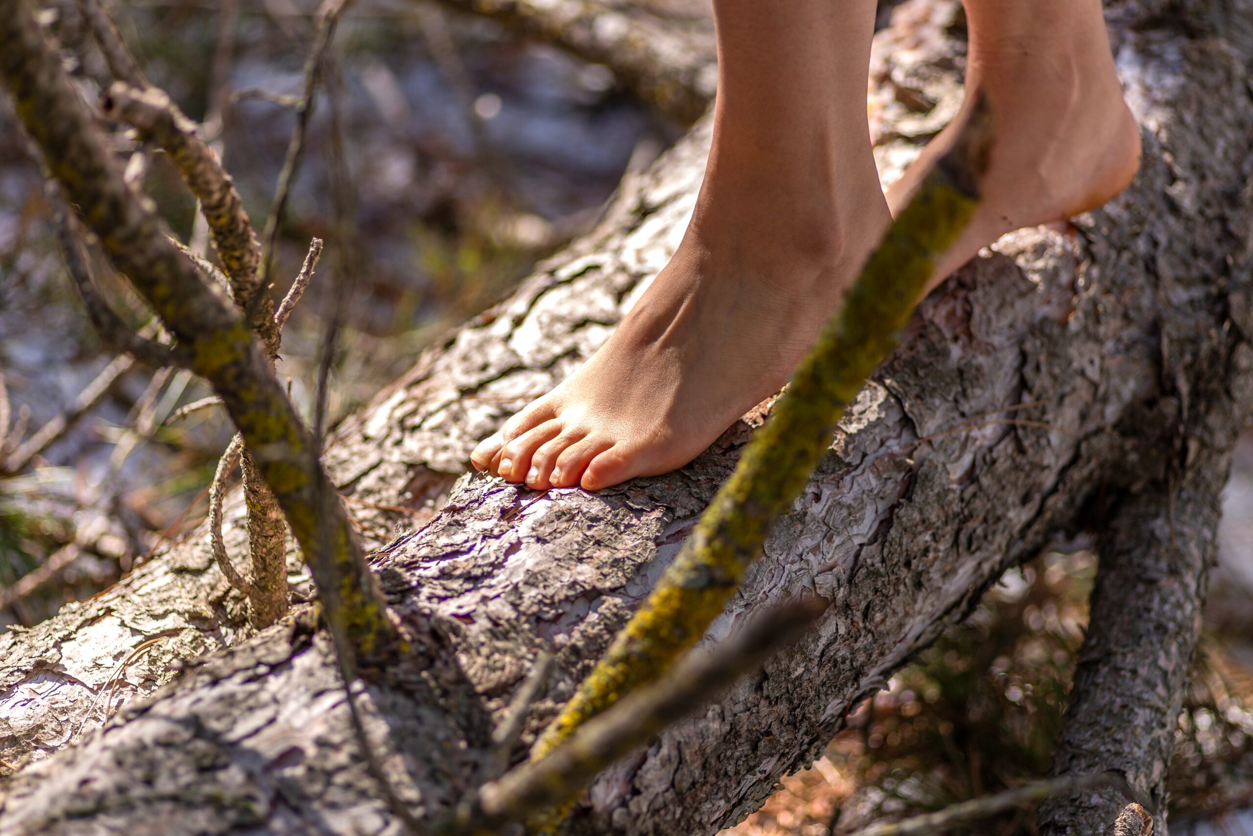 iStock-1296265724-modified